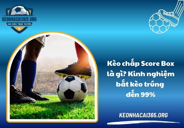 Kèo chấp Score Box là gì? Kinh nghiệm bắt kèo trúng đến 99%