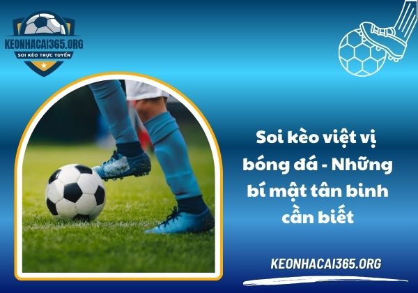Soi kèo việt vị bóng đá - Những bí mật tân binh cần biết