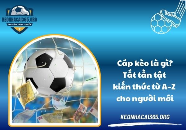 Cáp kèo là gì? Tất tần tật kiến thức từ A–Z cho người mới