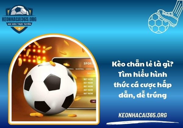 Kèo chẵn lẻ là gì? Tìm hiểu hình thức cá cược hấp dẫn, dễ trúng