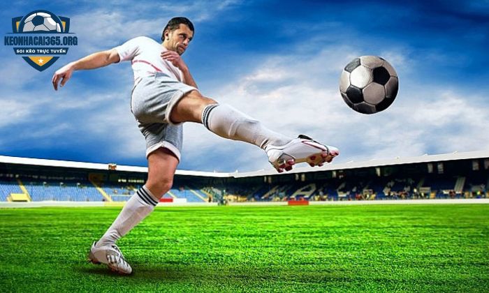 Anh em cần tìm hiểu rõ về luật bóng đá sân 9 người trước khi chơi