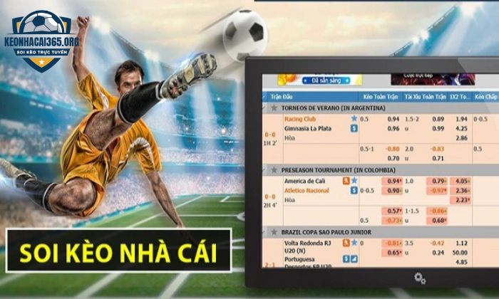 Tận hưởng những dịch vụ tại Kèo nhà cái